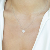 Collar Cleo
