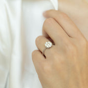 Anillo Ivy