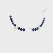 Aros trepadores zafiro