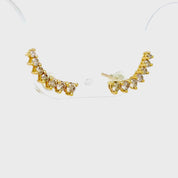 Aros trepadores Champagne